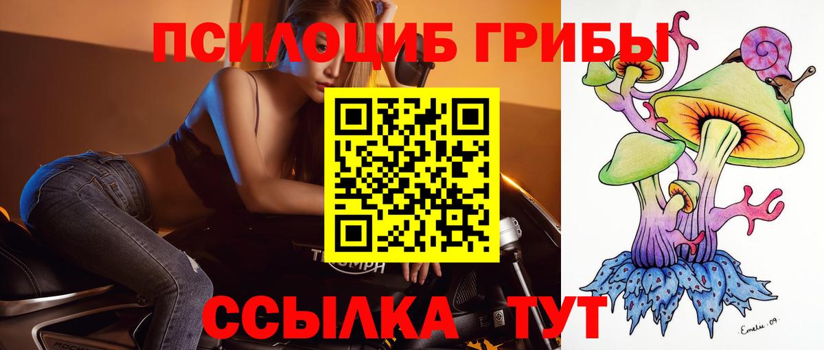 Псилоцибиновые грибы ЛСД Зима