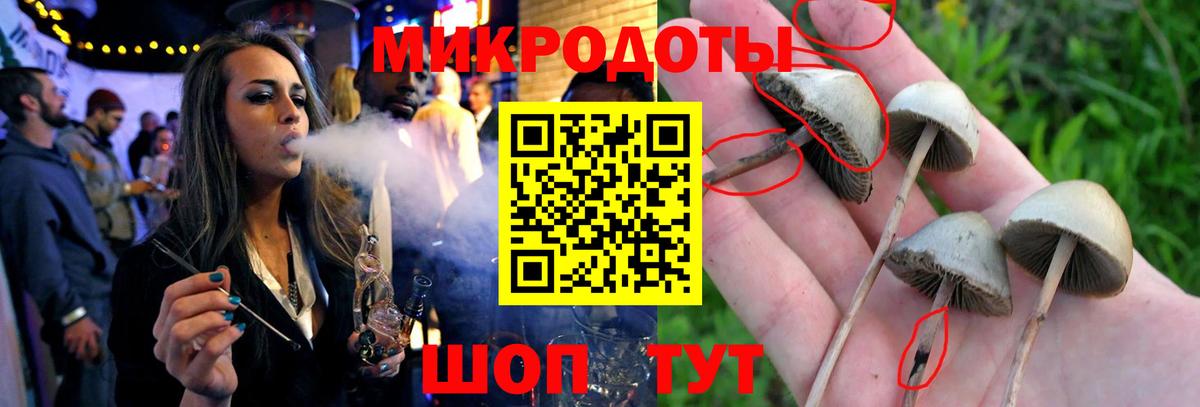 Псилоцибиновые грибы прущие грибы  Вход с VPN  Зима 